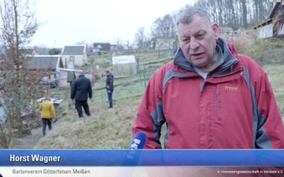 1.000 Obstbäume für Sachsen