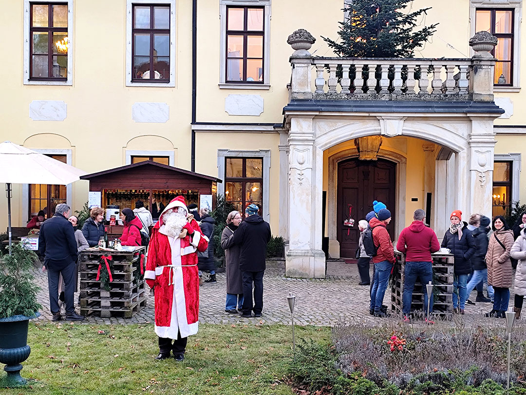 Aktivierung und Purifikation der Pflanzenkohle