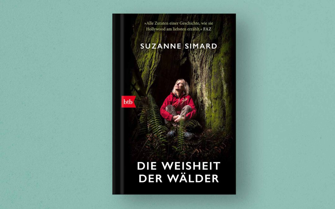 Wissenswertes über Mykorrhiza