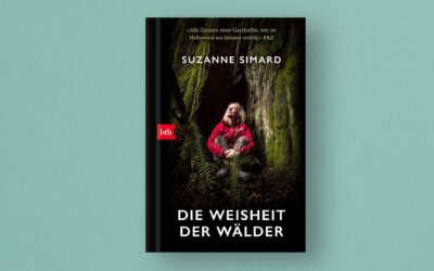 Wissenswertes über Mykorrhiza