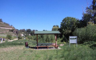 Renaturierung von Böden